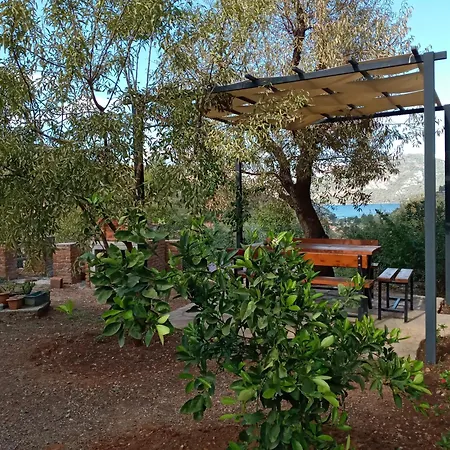 Almond Villa