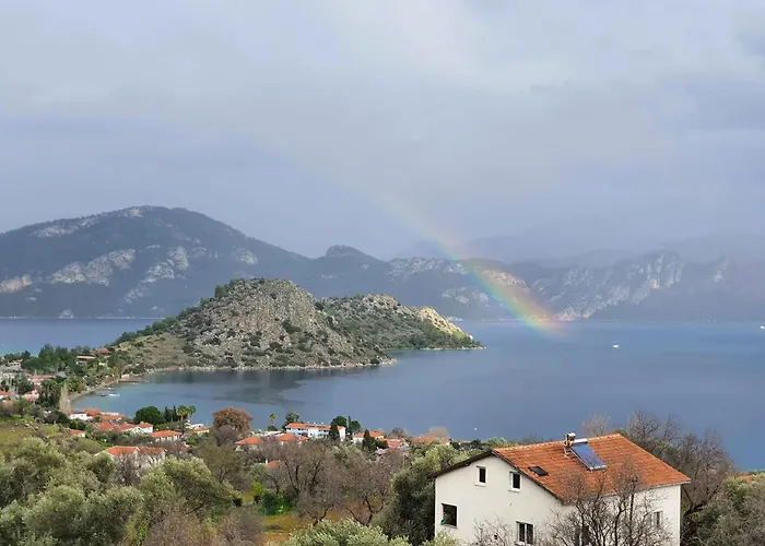 Almond マルマリス