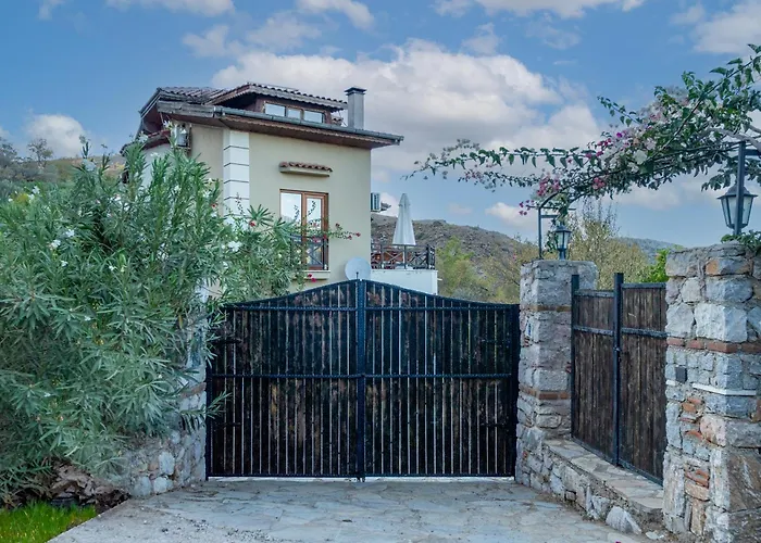 Almond * マルマリス